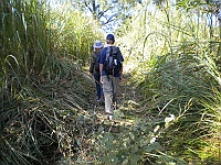 The trek to Kasara through the elephant grass.